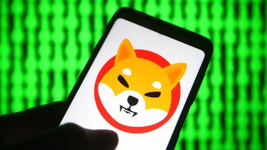 Image of an angry fox on your phone